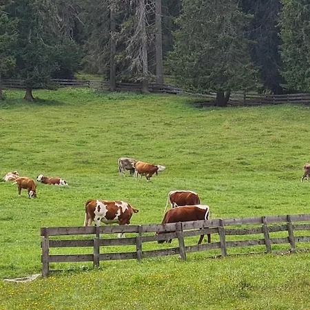 Apartmán Un Soffio D'aria Sulle Dolomiti *